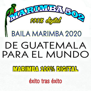 Marimba 502